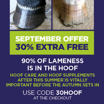 Hoof, temperament and mobility.